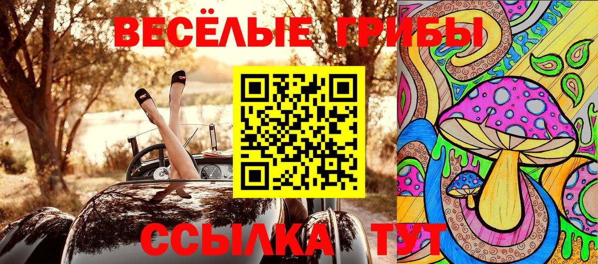 Ахтубинск  Галлюциногенные грибы прущие грибы  Вход с VPN 